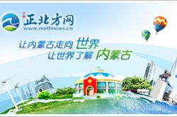 宁城县“三步联动” 建设美丽社区