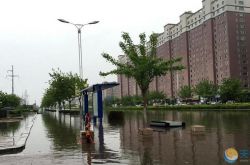 内蒙古宁城县暴雨天气 最高积水达1.8米