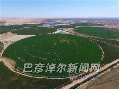 圣牧高科有机草场