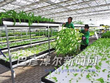 設施農(nóng)業(yè)