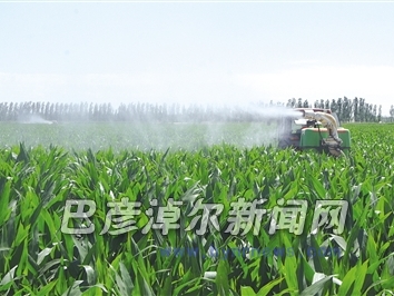 统一施药防治病虫害