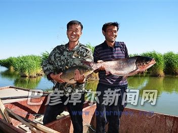有机渔业养殖