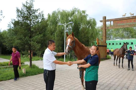 伊泰大漠马业向内蒙古高校无偿捐赠3匹纯血马